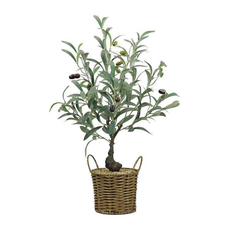 55cm Artificial Olive Tree In Basket