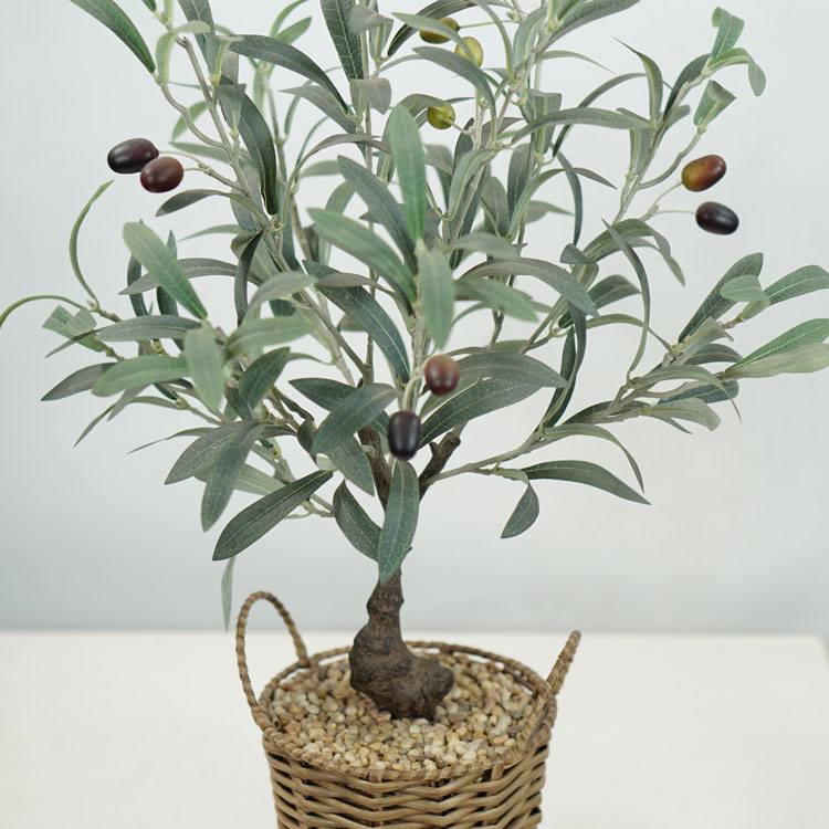 55cm Artificial Olive Tree In Basket